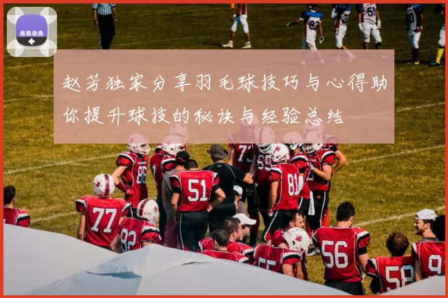 赵芳独家分享羽毛球技巧与心得助你提升球技的秘诀与经验总结