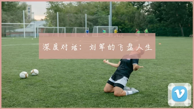 深度对话：刘军的飞盘人生