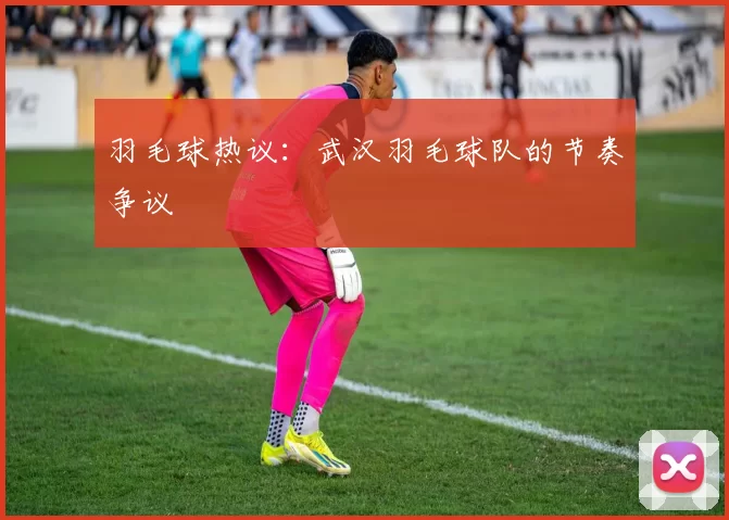 羽毛球热议：武汉羽毛球队的节奏争议