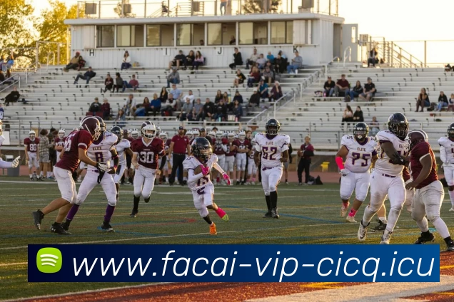 爱游戏体育发展历程