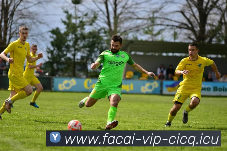 专访吴秀英：解密羽毛球成功之道